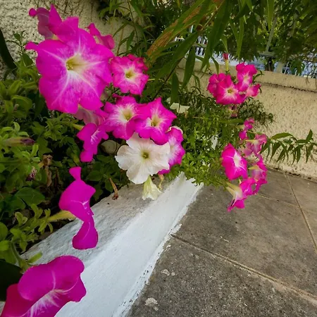 Marietta's Townhouse Hébergement de vacances *
