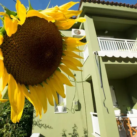 Marietta's Townhouse Argostoli (Kefalonia)